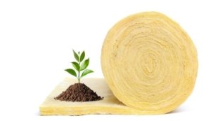 isolamento ecológico