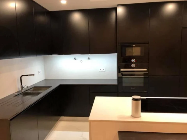 Black lacquered kitchen, general view