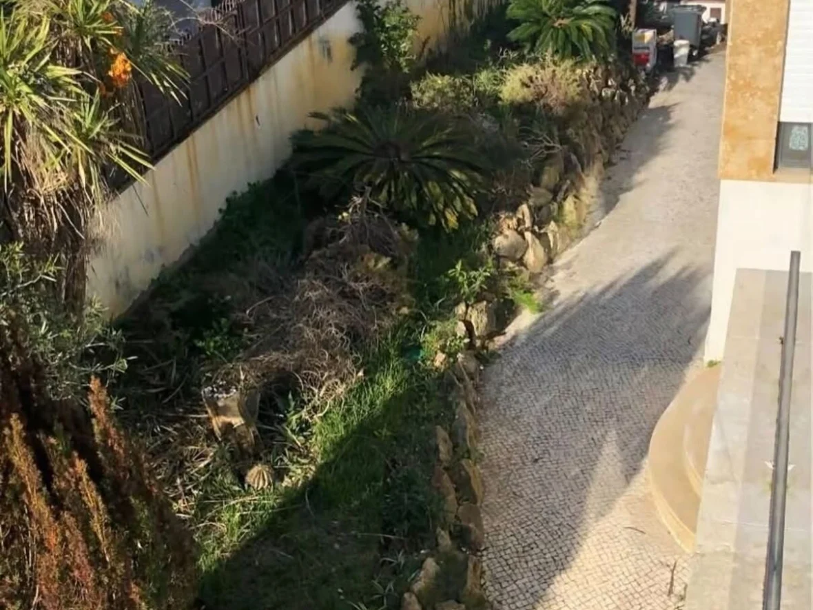 Before — the ground before any work