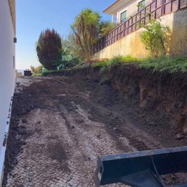 Before — the ground after clearance